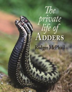 Hardcover The Private Life of Adders Book