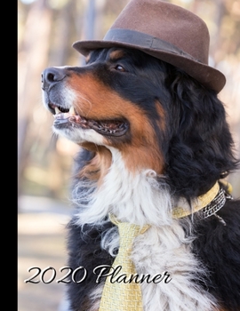 2020 Planner: Bernese Mountain Dog Cover - 2020 Weekly Planner Organizer Dated Calendar And ToDo List Tracker Notebook