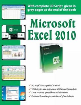 Paperback Microsoft Excel 2010 Book