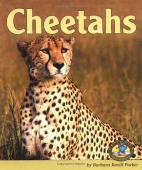 Library Binding Cheetahs Book