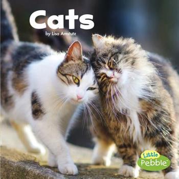 Cats - Book  of the Our Pets