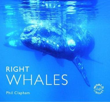 Paperback Right Whales Book