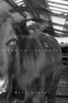 Paperback Bred in the Bone Book