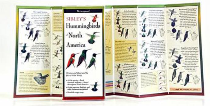 Wall Chart Sibley's Hummingbirds of North America Book