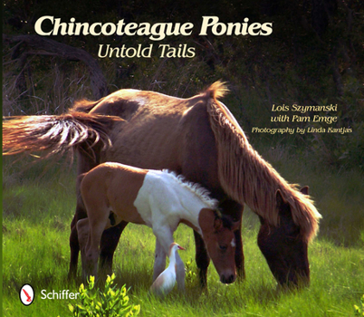 Paperback Chincoteague Ponies: Untold Tails Book