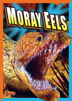 Paperback Moray Eels Book