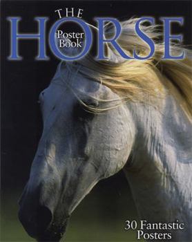 Paperback The Horse Poster Book