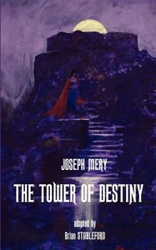 Paperback The Tower of Destiny Book