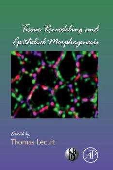 Hardcover Tissue Remodeling and Epithelial Morphogenesis: Volume 89 Book