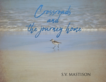 Paperback Crossroads, and the journey home Book