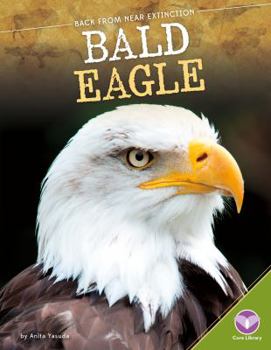 Library Binding Bald Eagle Book