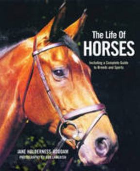 Hardcover The Life of Horses Book