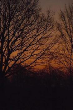 Paperback Sunrise Notebook Book