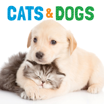 Board book Cats & Dogs Book