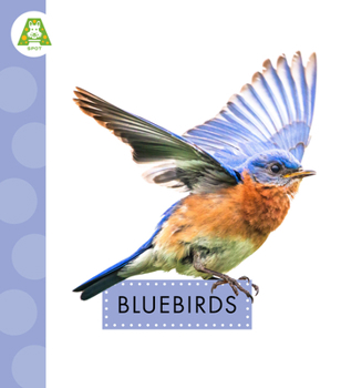 Paperback Bluebirds Book