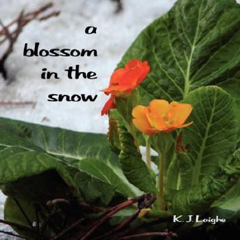Paperback Blossom in the Snow Book