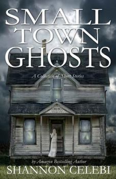 Paperback Small Town Ghosts Book