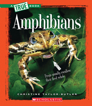 Hardcover Amphibians (a True Book: Animal Kingdom) (Library Edition) Book