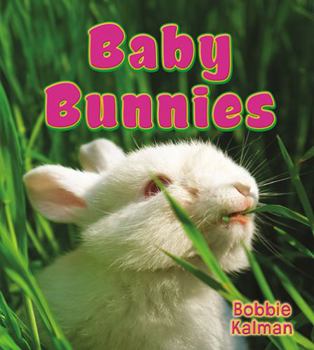 Hardcover Baby Bunnies Book