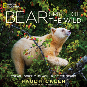Hardcover Bear: Spirit of the Wild Book