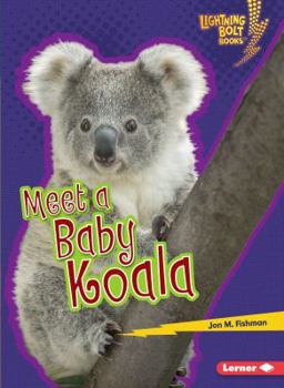 Paperback Meet a Baby Koala Book