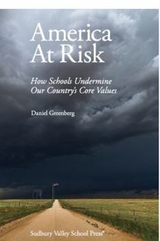 Paperback America At Risk: How Schools Undermine Our Country’s Core Values Book