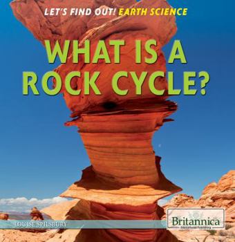 Paperback What Is the Rock Cycle? Book