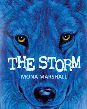 Paperback The Storm Book