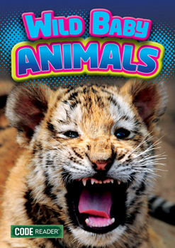 Paperback Wild Baby Animals Book