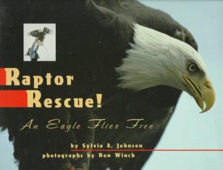 Hardcover Raptor Rescue!: An Eagle Flies Free Book
