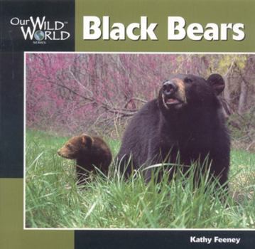 Paperback Black Bear Book