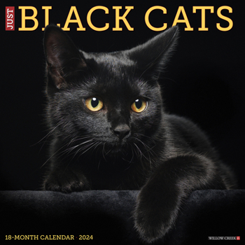 Calendar Just Black Cats 2024 12 X 12 Wall Calendar Book