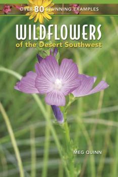 Paperback Wildflowers of the Desert Southwest Book
