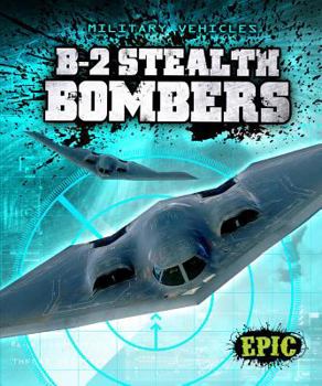 Library Binding B-2 Stealth Bombers Book