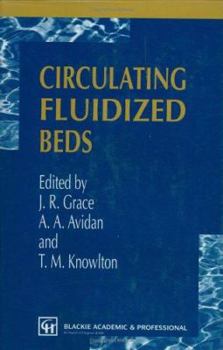 Hardcover Circulating Fluidized Beds Book