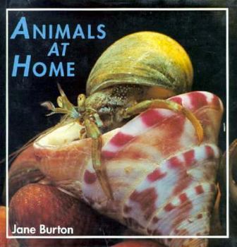 Library Binding Animals at Home, Burton, 2-4 Book