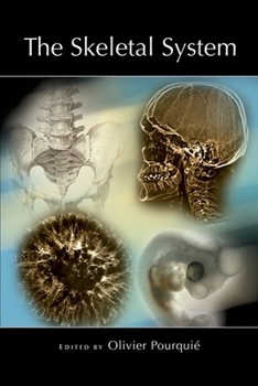 Hardcover The Skeletal System Book