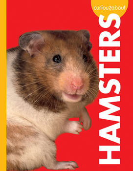 Paperback Curious about Hamsters Book