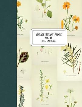 Paperback Vintage Botany Prints: Vol. 18 Book