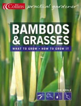 Paperback Bamboos and Grasses Book
