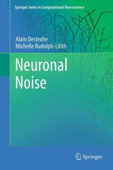 Paperback Neuronal Noise Book