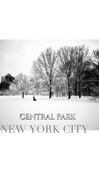 Hardcover central park New York City Winter wonderland blank journal: central park New York City Winter wounderland blank journal Book