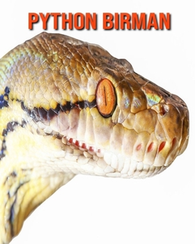 Python Birman: Photos Etonnantes & Recueil d’Informations Amusantes Concernant les Python Birman pour Enfants