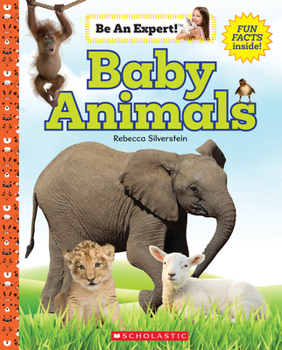 Hardcover Baby Animals (Be an Expert!) Book
