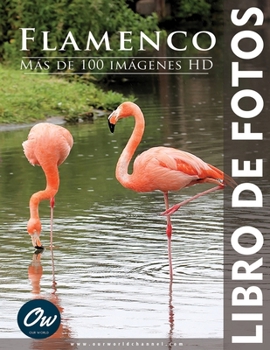 Flamenco: Libro de fotos (Spanish Edition)