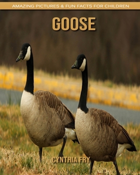 Goose: Amazing Pictures & Fun Facts for Children