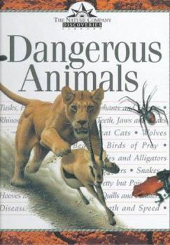 Hardcover Dangerous Animals Book