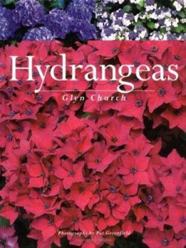 Paperback Hydrangeas Book
