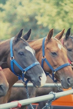Paperback 2020 Weekly Planner Horse Photo Equine Polo Pony String 134 Pages: 2020 Planners Calendars Organizers Datebooks Appointment Books Agendas Book