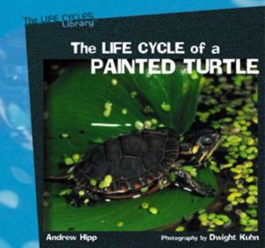 Library Binding The Life Cycles of a Painted Turtle Book